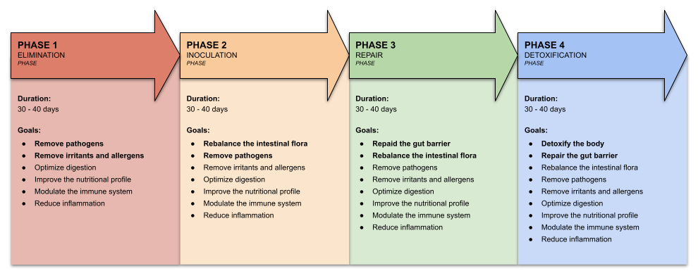 phases of the digestive health program